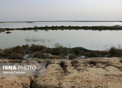 میانگران، تالابی که به حوض فاضلاب تبدیل شده است