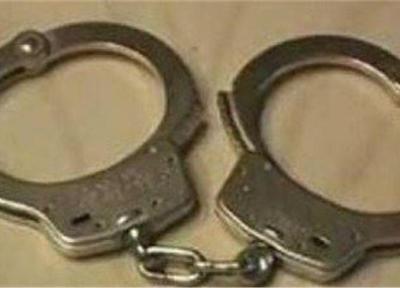 کشف 14 فقره سرقت در ایلام