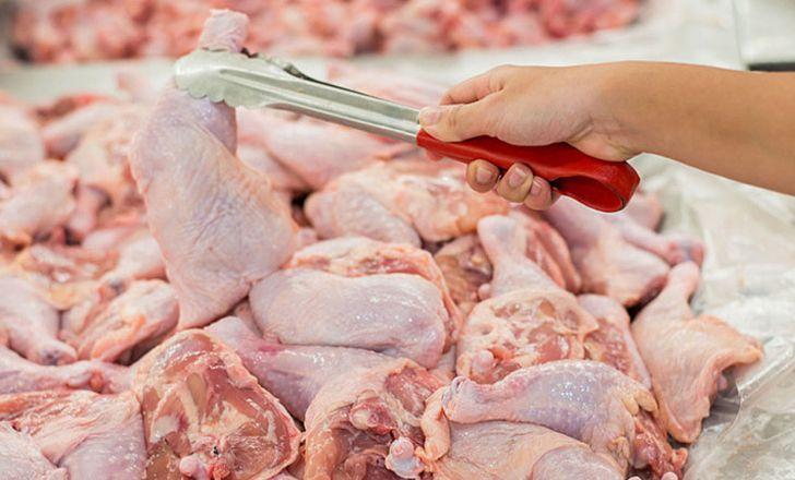 خاوازی: بازار مرغ را از دست دلالان و واسطه ها در بخش عمده فروشی درآوردیم