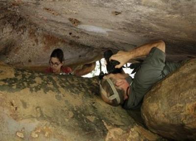 کشف قدیمی ترین سنگ نگاره استرالیا؛ تصویر 17 هزار ساله یک کانگورو