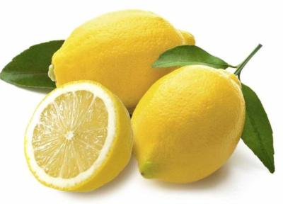 قیمت لیمو ترش و نارنگی در بازار