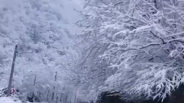 فیلمی از طبیعت بکر ماسوله در زمستان 1400