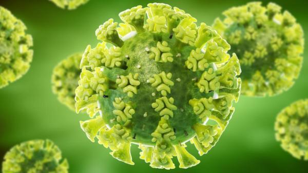 نانوذراتی برای فراوری واکسن در برابر انواع ویروس های کرونا