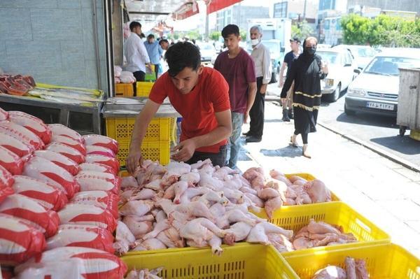 جدیدترین قیمت مرغ در بازار ، فیله مرغ کیلویی 190 هزار تومان؛ مرغ کامل کیلویی چند شد؟